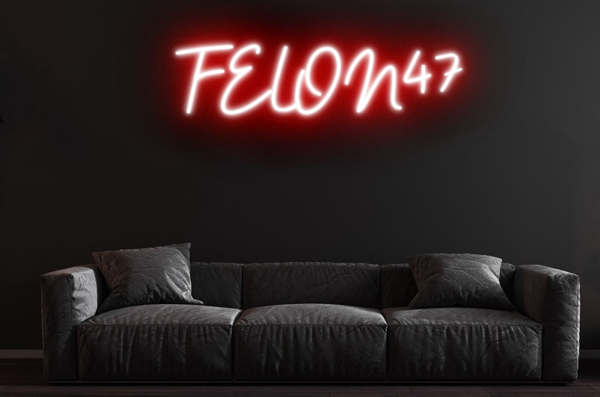 FELON47