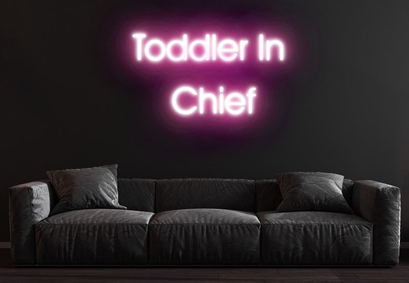 Toddler In Chief